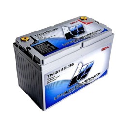 LITHIUM PROS LiFePO4 Battery, 38.4V/38 Ah (Trolling/Deep cycle, Grp 31) | TM3138-36 - AVAILABLE FOR DROP-SHIP. FREE FREIGHT.
