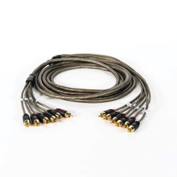ROSWELL 6-Channel RCA Cable, 5 m | C920-0325