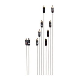 FUSION Performance RCA Cable Dual Female to 8-way Male Splitter, 2.1 ft | 010-13356-00