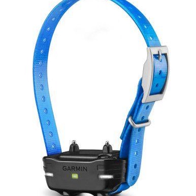 GARMIN PT 10 Dog Device, Blue Collar | 010-01209-10 *Special Order Item