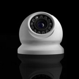 GOST Mini Ball Camera NTSC | GOST-Mini-Ball-HD-N-W-UTC