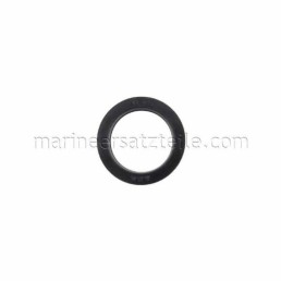 JOHNSON PUMPS V-GASKET V 25A NBR70 | 0.2230.319