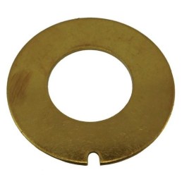 JOHNSON PUMPS WEAR PLATE F7B/F70B | 01-42443