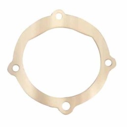 JOHNSON PUMPS GASKET F5B/F6B-9 | 01-45315