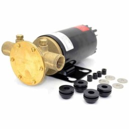 JOHNSON PUMPS F4B-1107 12V BALLAST PUMP 1/2