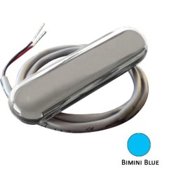 SHADOW-CASTER LED Courtesy Light Stainless Steel - Bimini Blue | SCM-CL-BB-SS