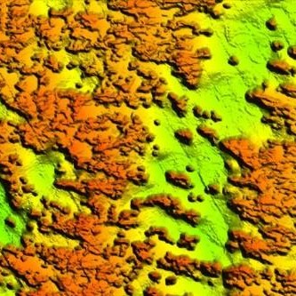 StrikeLines 3D Florida Middle Grounds & Elbow RAYMARINE | SL3DMGERAY