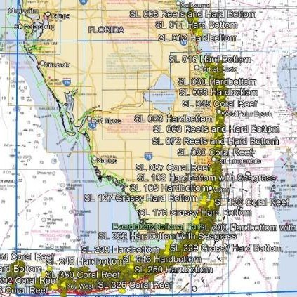 StrikeLines South Florida and Keys Reefs and Hardbottom Way RAYMARINE | SLWPSFKRHRAY