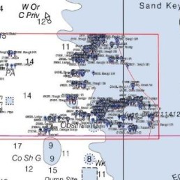 StrikeLines St Pete Offshore RAYMARINE | SLWPSPOSRAY