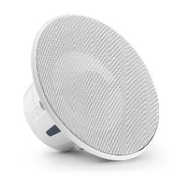jlam6-650x-l-gwsw-single.jpg