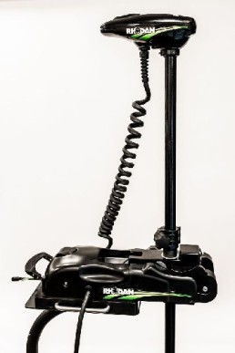 rhog5b36096.jpg