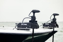 rhog5b36096.jpg