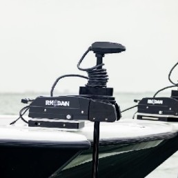 rhog5b36096.jpg