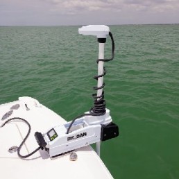 rhog5w36108.jpg