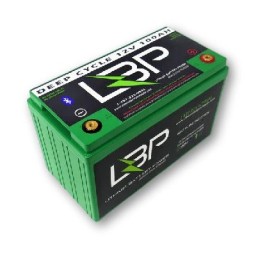 lbpb12v100ahdcbt.jpg