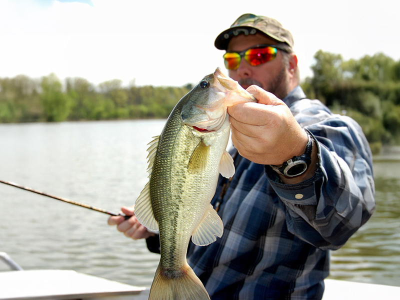 BASS-FISHING