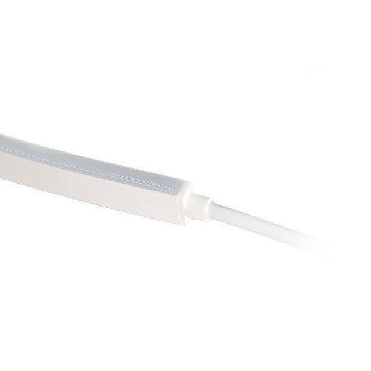 plhorb-neon-rgb-12v-16ft.jpg
