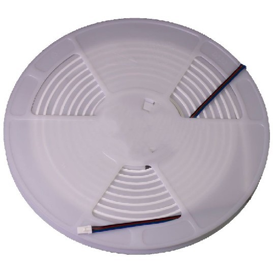 plhpl-neon-mini-6000k-2ft-12v.jpg